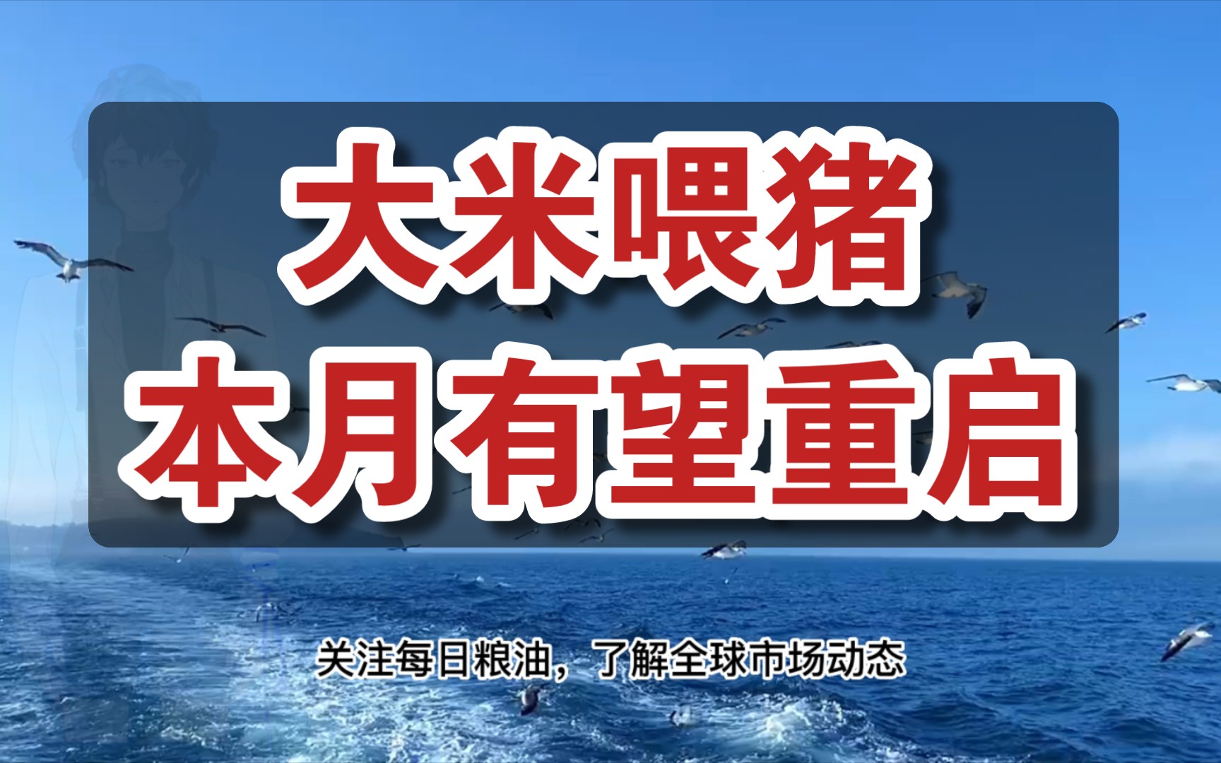 养殖需求不佳豆粕价格继续走低,传闻中储粮向全球第三大大豆出口国销售100万吨大豆,大米喂猪本月有望正式启动哔哩哔哩bilibili