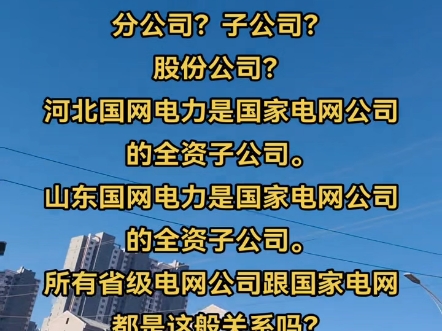 省级电网公司跟国家电网公司.是什么关系?分公司?子公司?股份公司?河北国网电力是国家电网公司的全资子公司.山东国网电力是国家电网公司的全资...