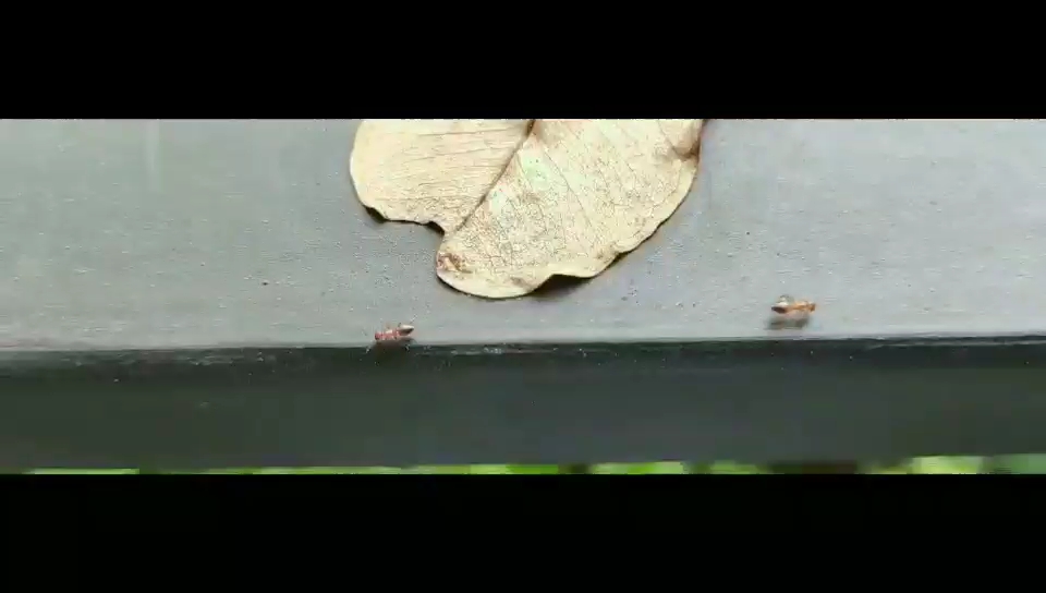 [图]今日生活小细节