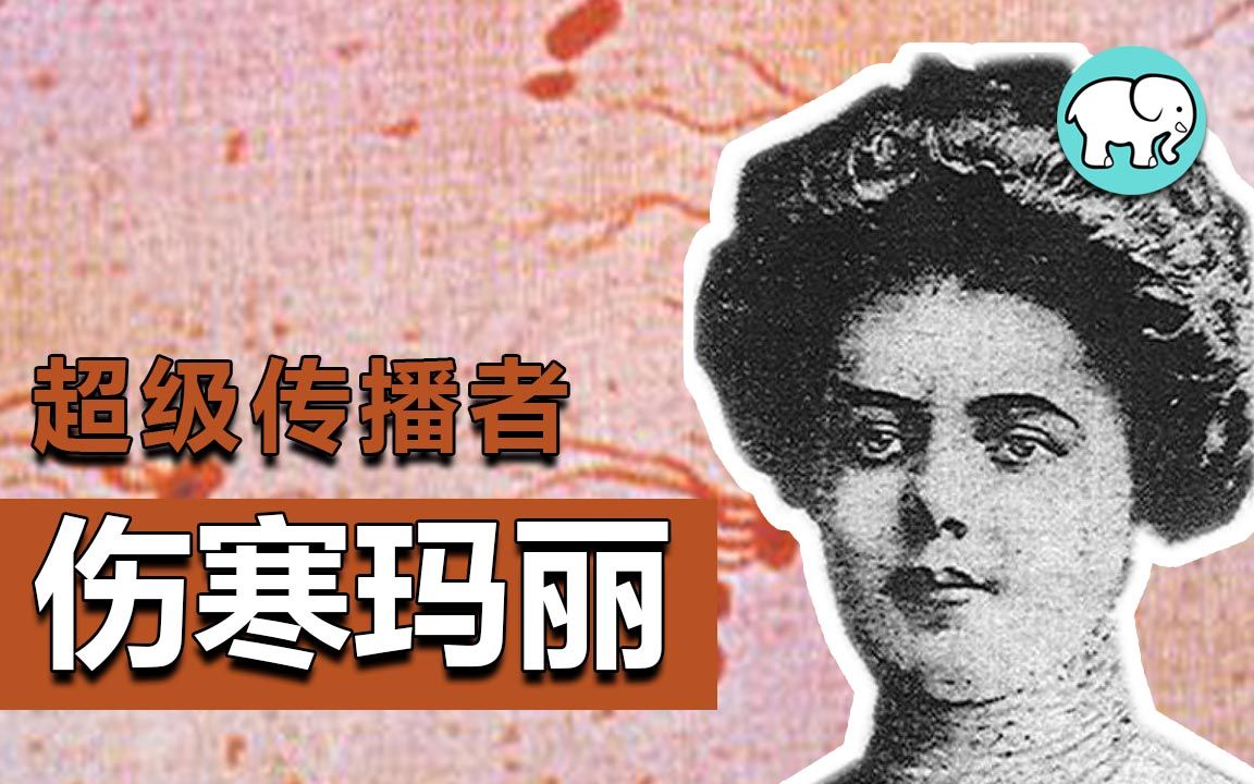 超级传播者伤寒玛丽