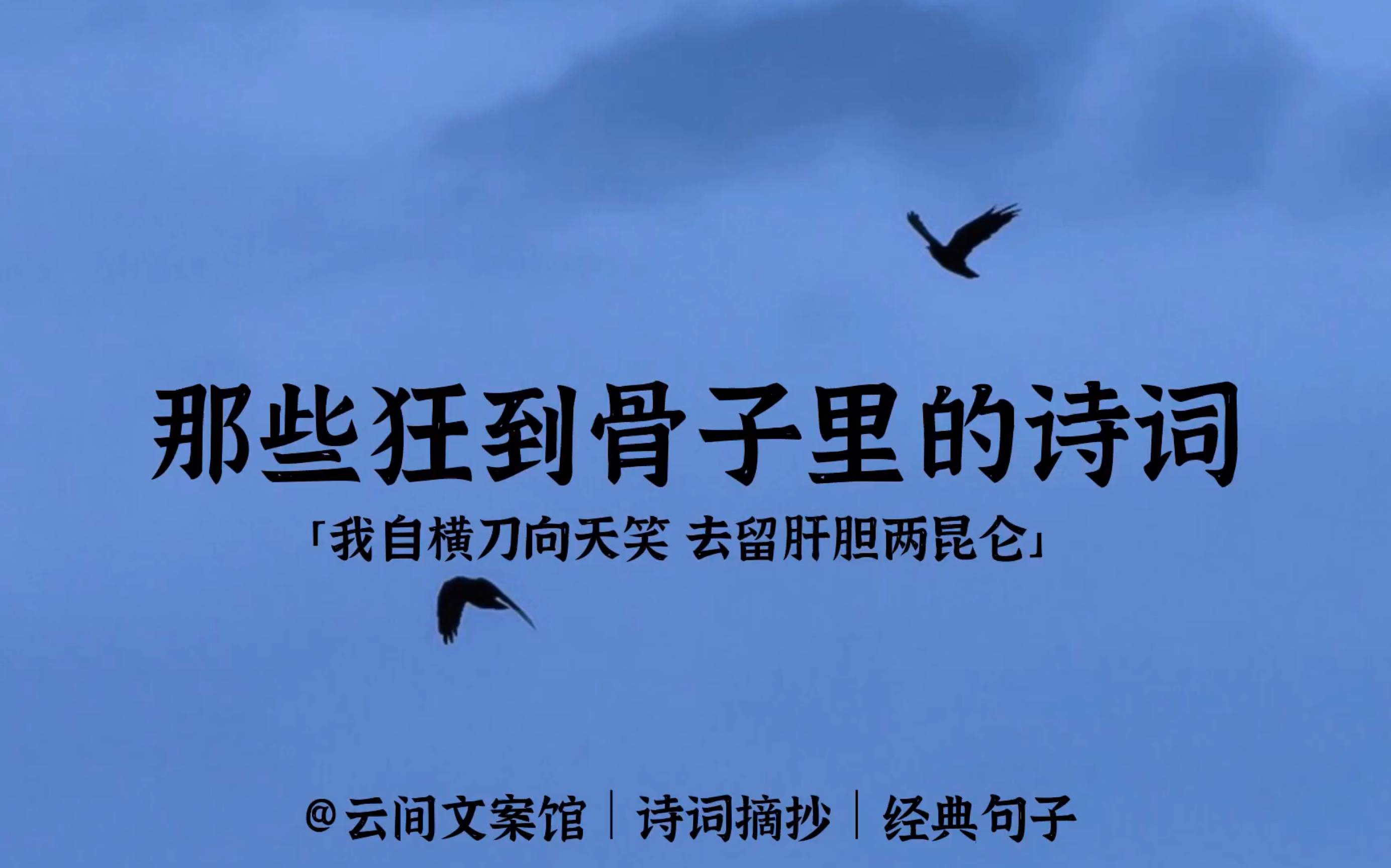 “黄金百战穿金甲,不破楼兰终不回”|你读过最狂的诗句是什么?哔哩哔哩bilibili