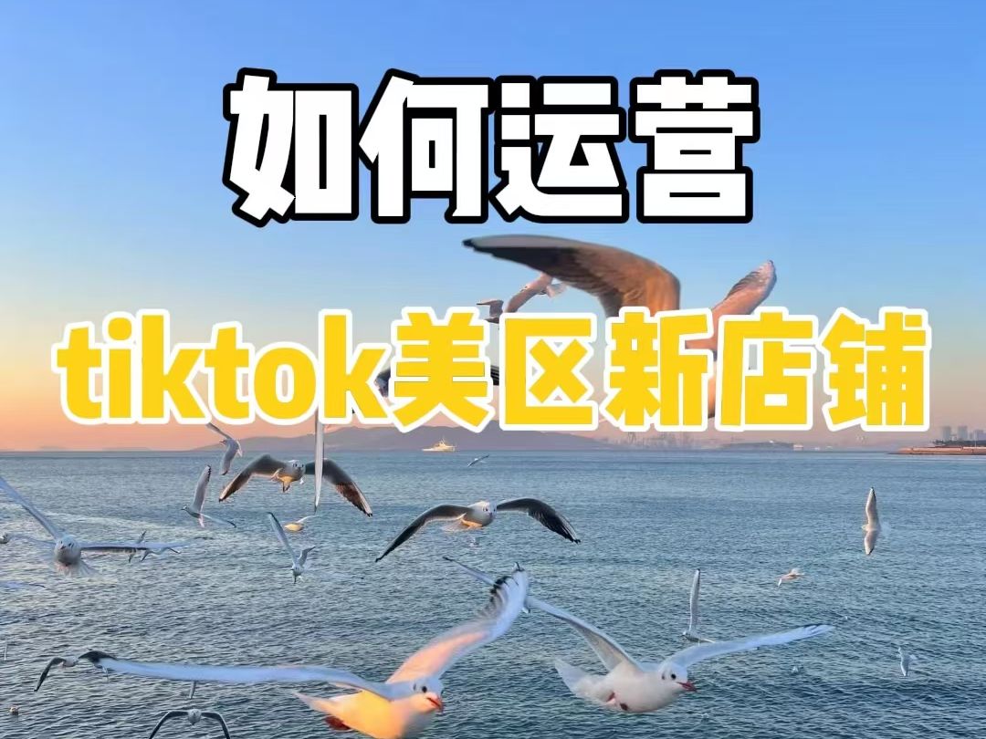 如何运营tiktok美区新店铺哔哩哔哩bilibili