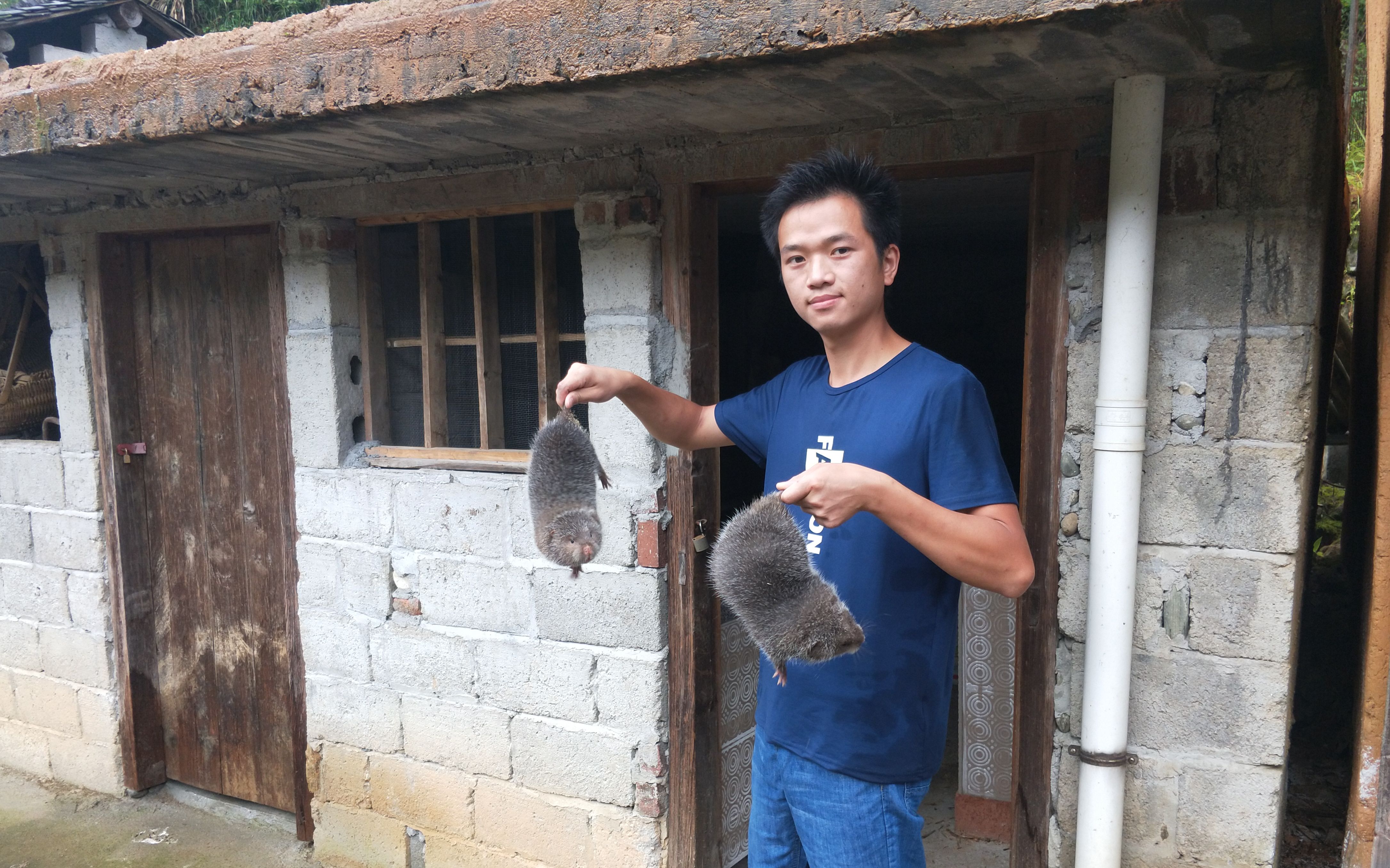 农村艋哥竟然给得抑郁症的竹鼠发个老婆,据说能治好竹鼠得抑郁症_哔哩