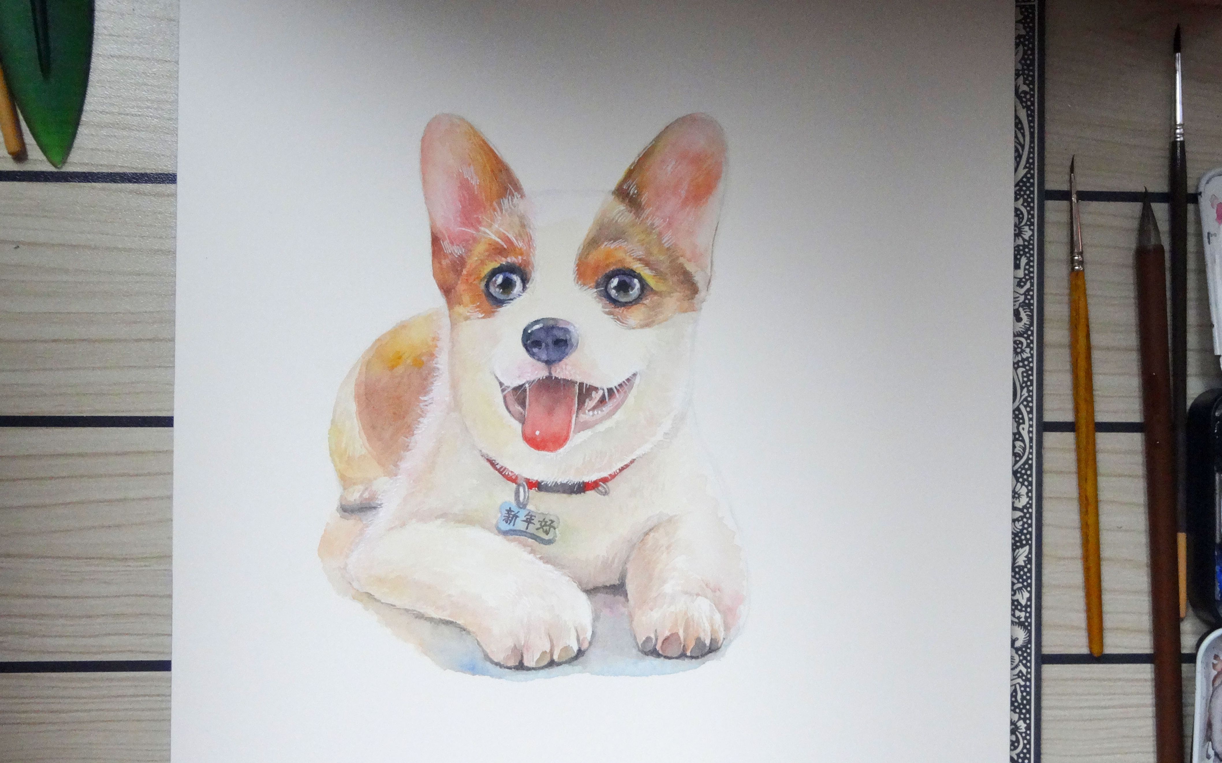 水彩携手柯基给大家拜个年啦