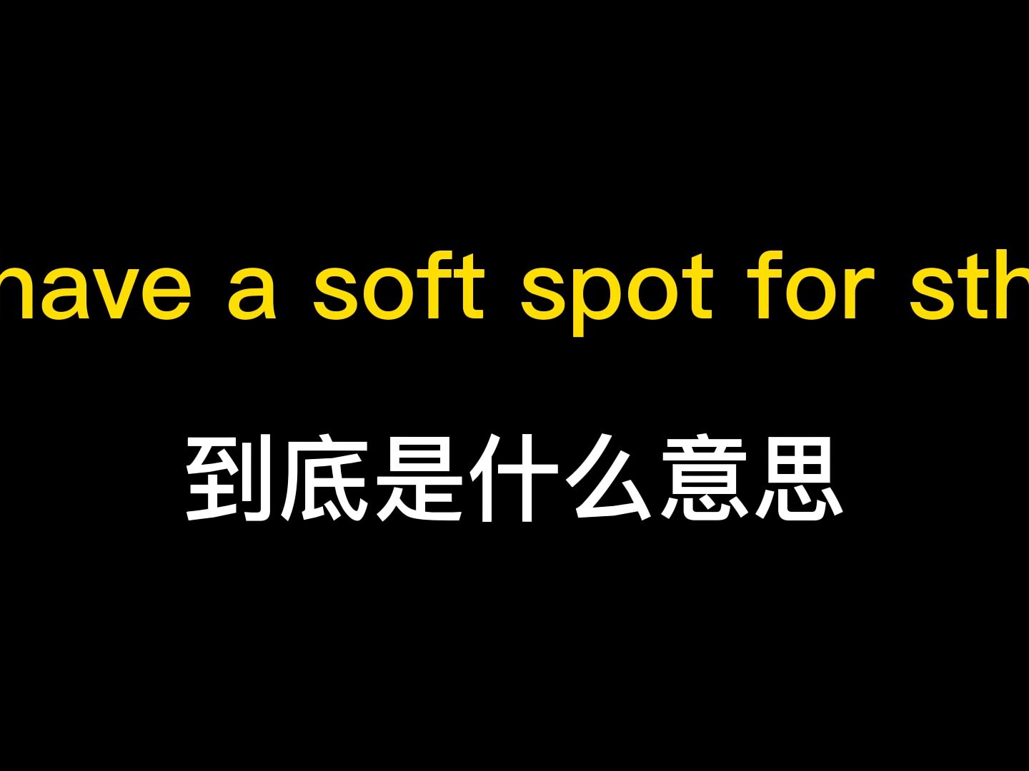 have a soft spot for sth到底是什么意思?哔哩哔哩bilibili