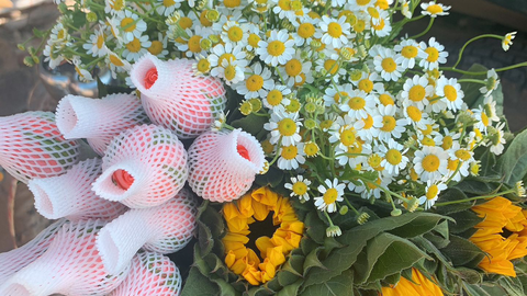 鲜花花束 影星玫瑰 10支 向日葵5支 洋甘菊 哔哩哔哩