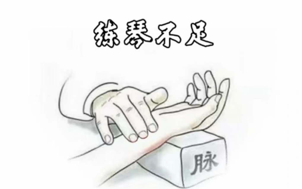 【琵琶】《飞花点翠》哔哩哔哩bilibili