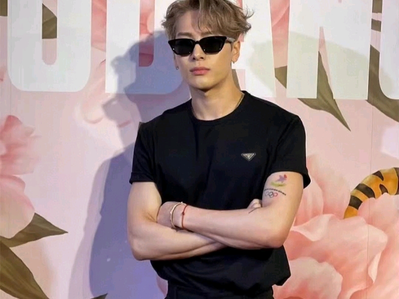 opfz066566566566 高仿普拉达,王嘉尔同款短袖