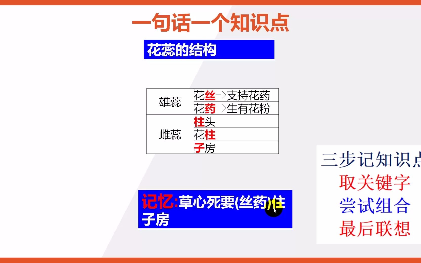 [图]【七年级上册生物知识点记忆】花蕊的结构