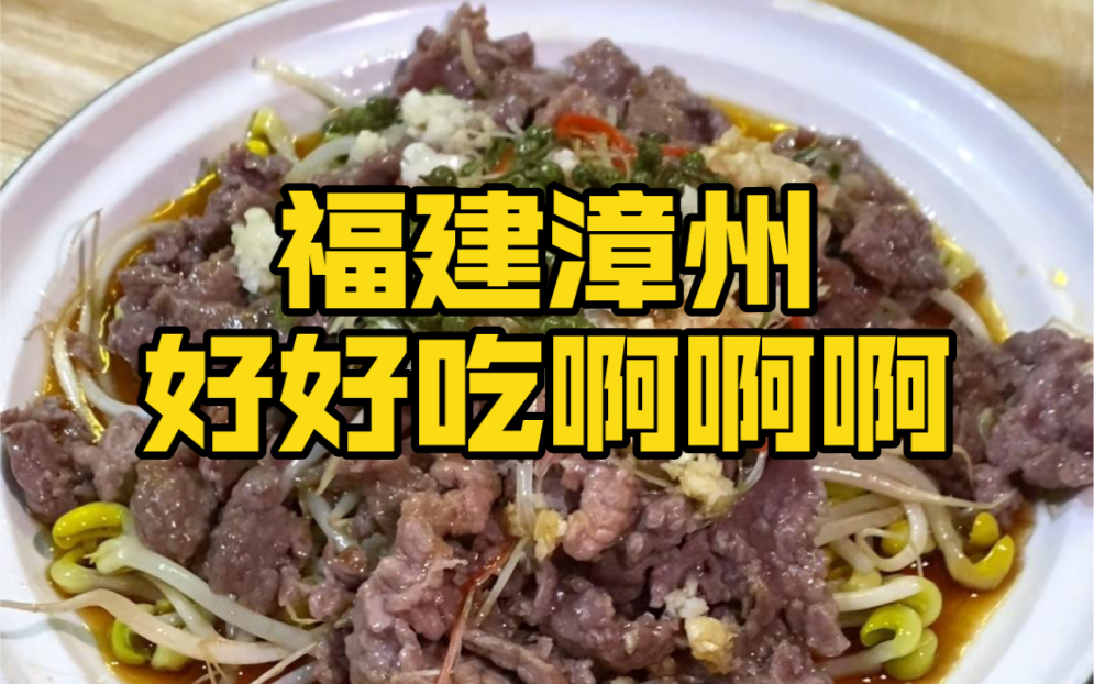 福建ⷮŠ漳州vlog~平价好吃!冷门城市,趁还没火快去!!!哔哩哔哩bilibili