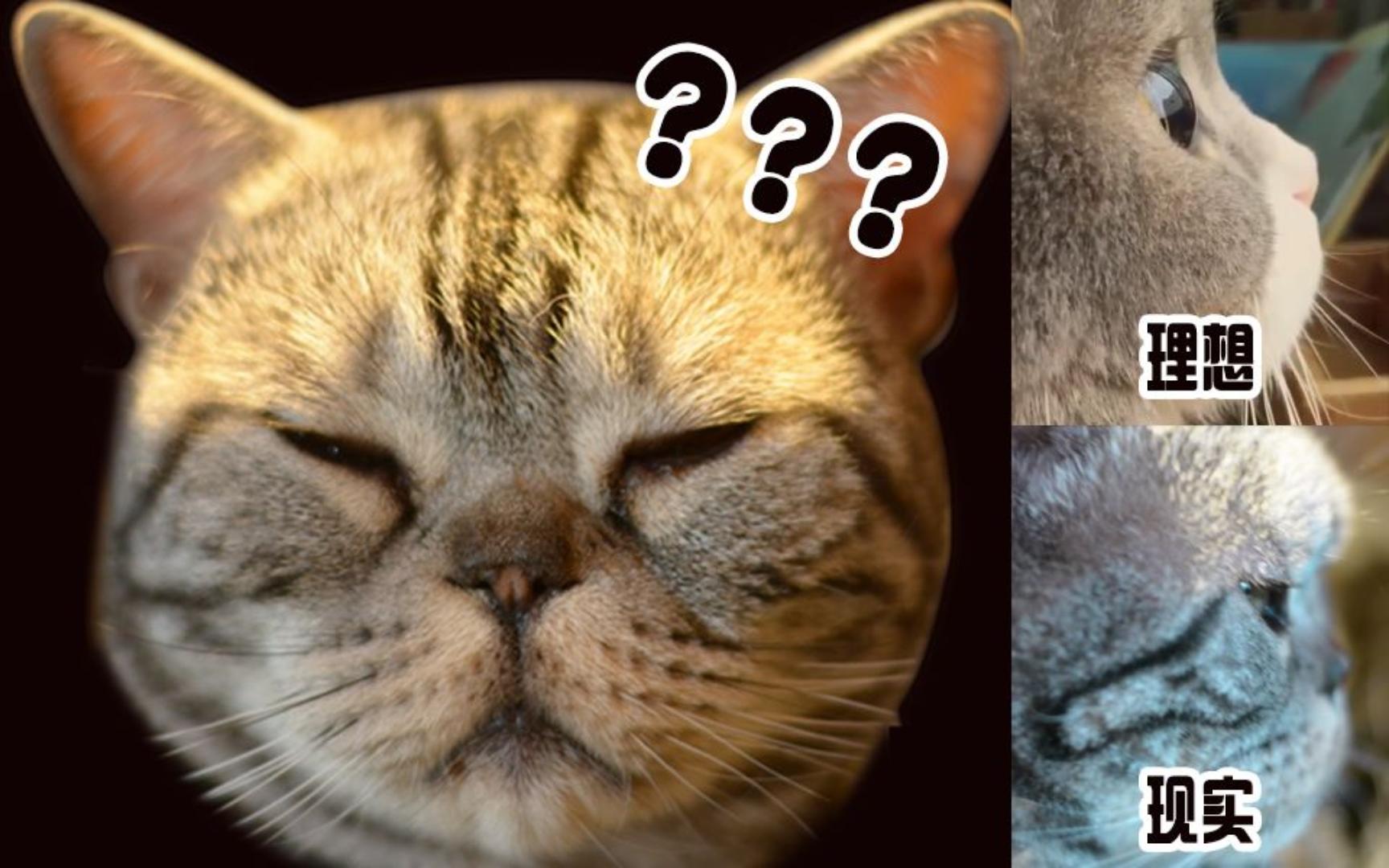 可怜的汤姆被玩弄于股掌之间