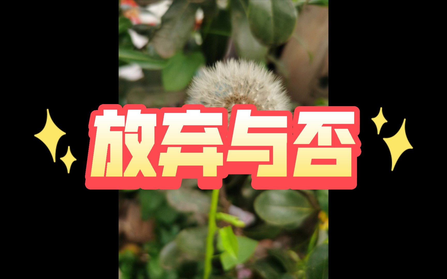 要不要放弃 感情 抉择 发展