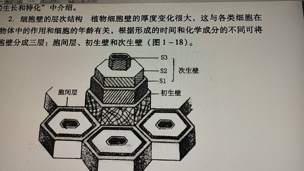 不过接触过打广告的
