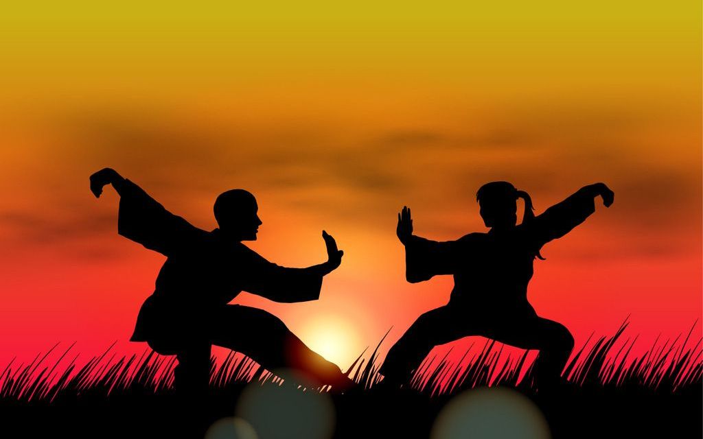 中国功夫_哔哩哔哩 (゜-゜)つロ 干杯~-bilibili