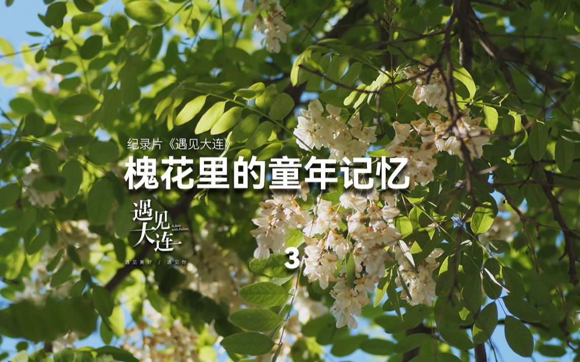 [图]槐花里的童年记忆 下