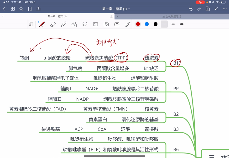 维生素与辅酶哔哩哔哩bilibili