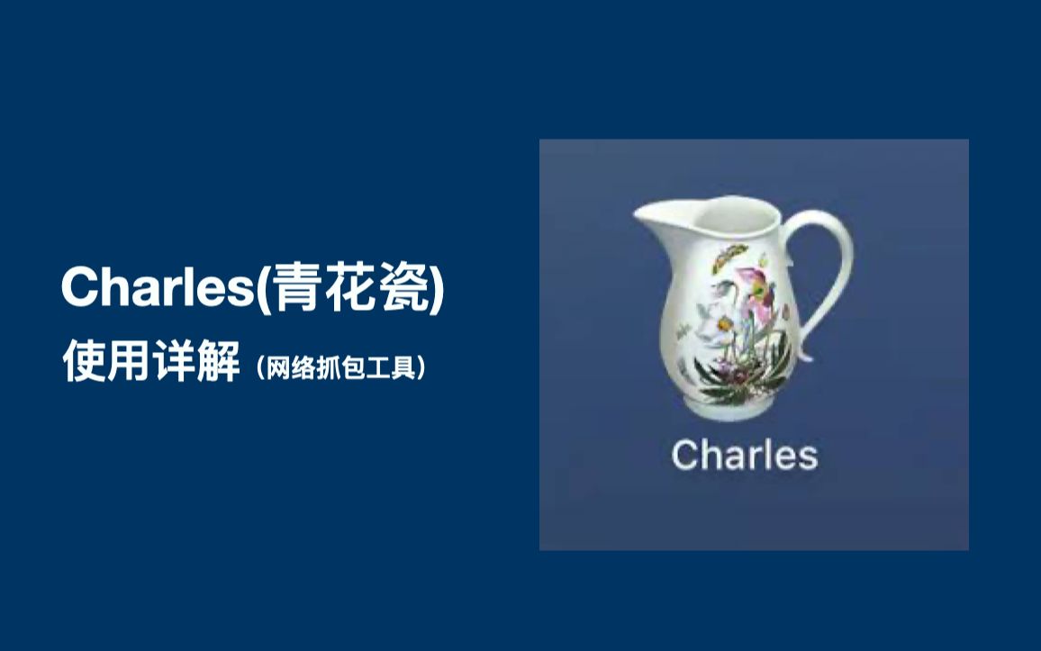 Charles青花瓷使用详解(网络抓包工具)哔哩哔哩bilibili