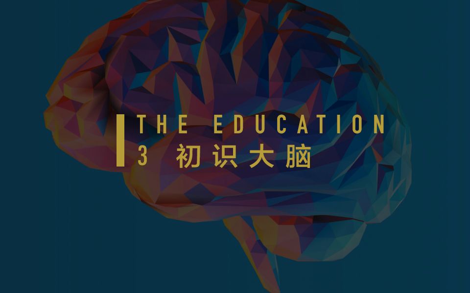 [图]〖THEDUCATION〗硬件：初识大脑 Lesson Three: The Brain