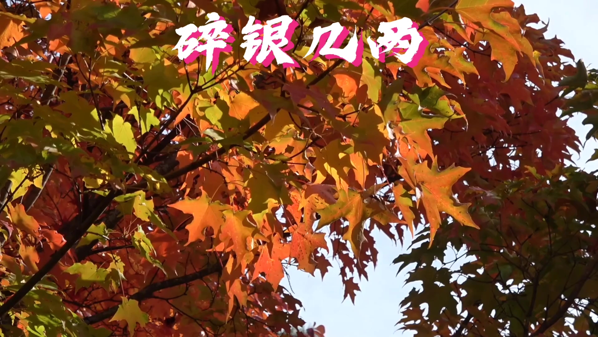 碎银几两:生活不易,赚钱更难