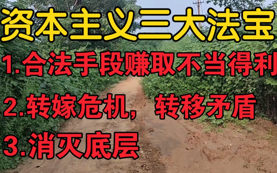 资本主义三大法宝:以合法手段赚取不当得利;转嫁危机;消灭底层.资本主义必被矛盾淹没.哔哩哔哩bilibili