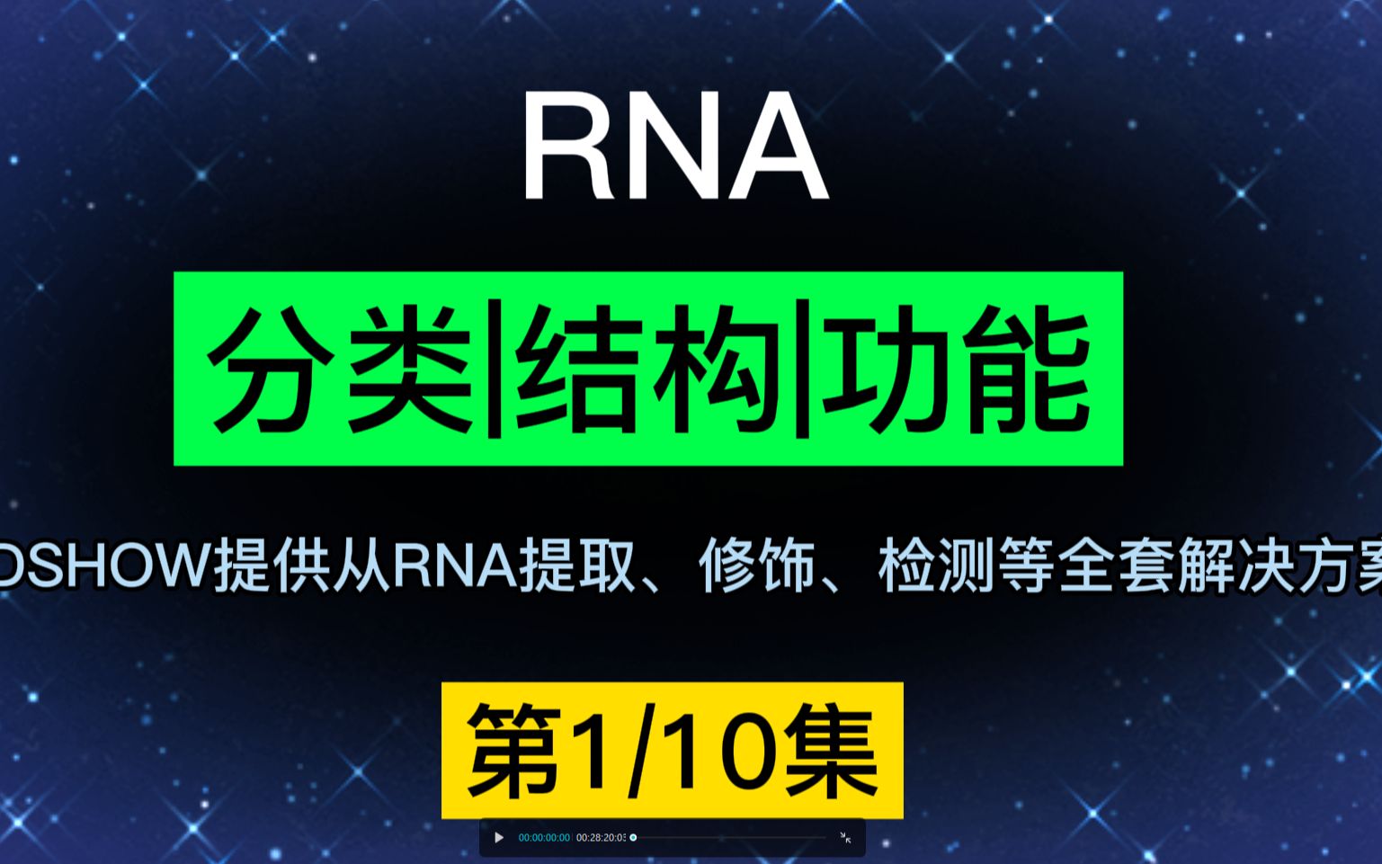 RNA分类|结构|功能哔哩哔哩bilibili