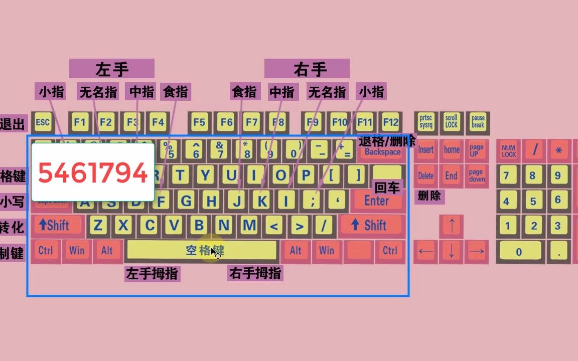 零基础学电脑打字,快速学会键盘打字,适合初学者学习哔哩哔哩bilibili