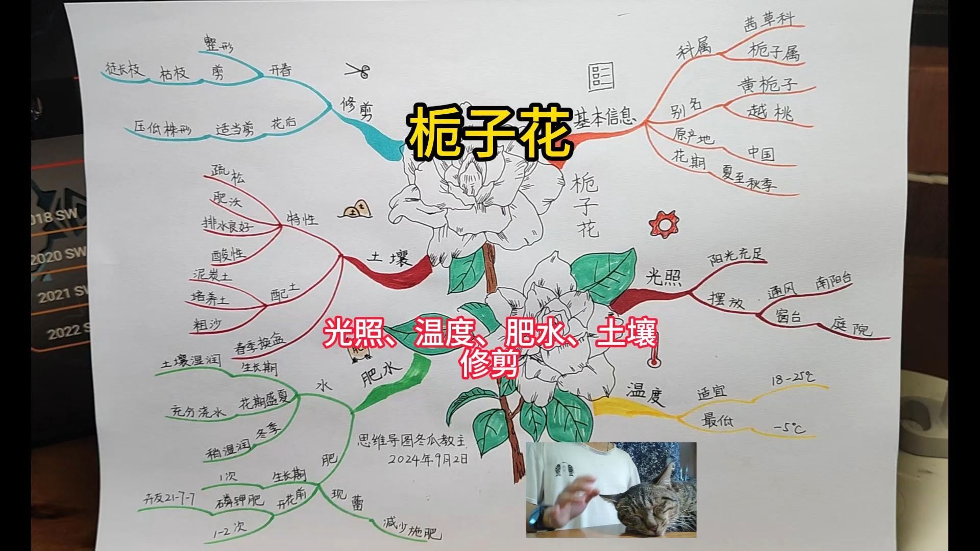 栀子花结构图解图片