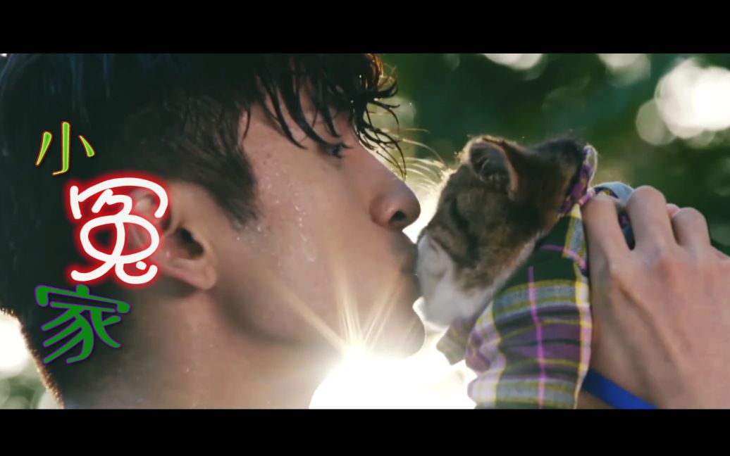 【张云龙 | 鲍宇72阿旺】神犬小七第二季70小冤家你干嘛像个傻瓜