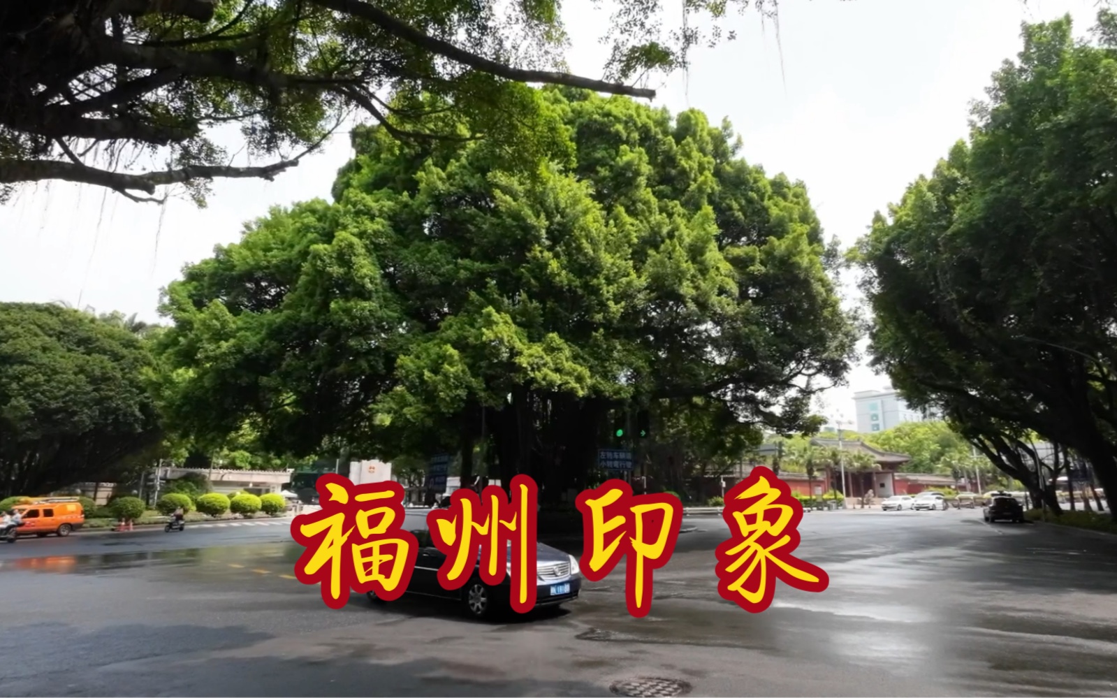 [图]福州印象，榕树街道，三坊七巷，达明美食街，西湖公园