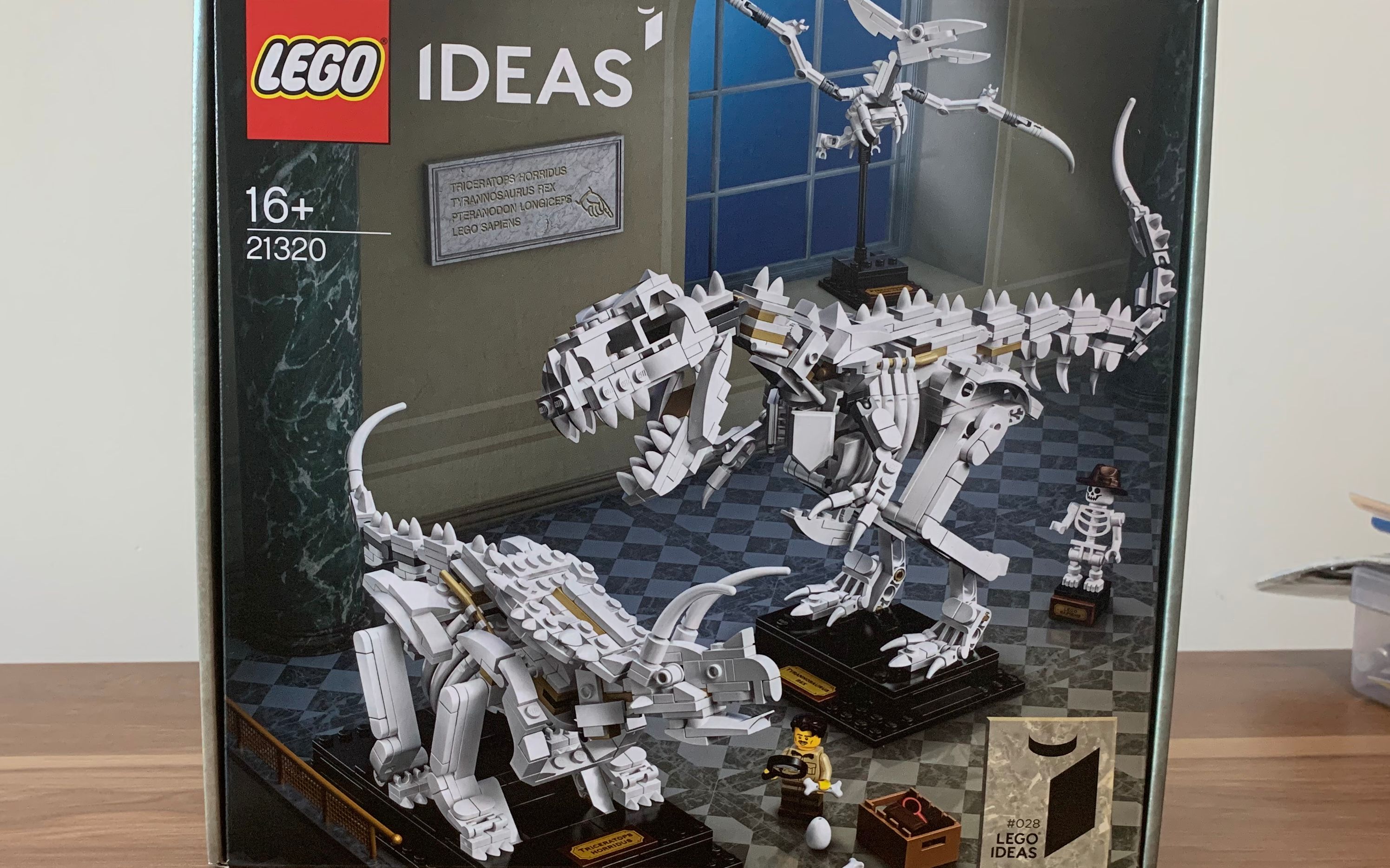 乐高21320 恐龙化石积木拼装