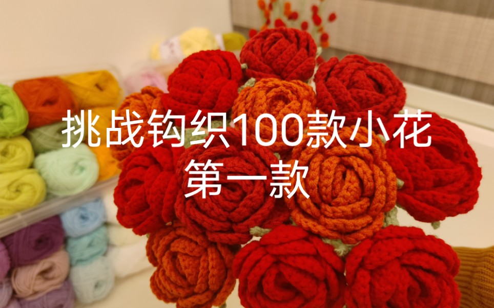 挑战钩织100款花花的第一天哔哩哔哩bilibili