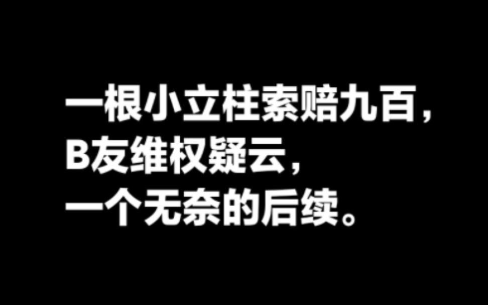 一根塑料小立柱索赔900元,B友维权疑云,一个无奈的后续.哔哩哔哩bilibili