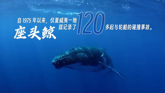 [图]#青春城科##为地球留住美好#今天是#世界地球日。地球是所有生物的共同家园，然而不断加剧的人类活动已对自然资源和生态环境的可持续发展构成了巨大威胁。联合国…