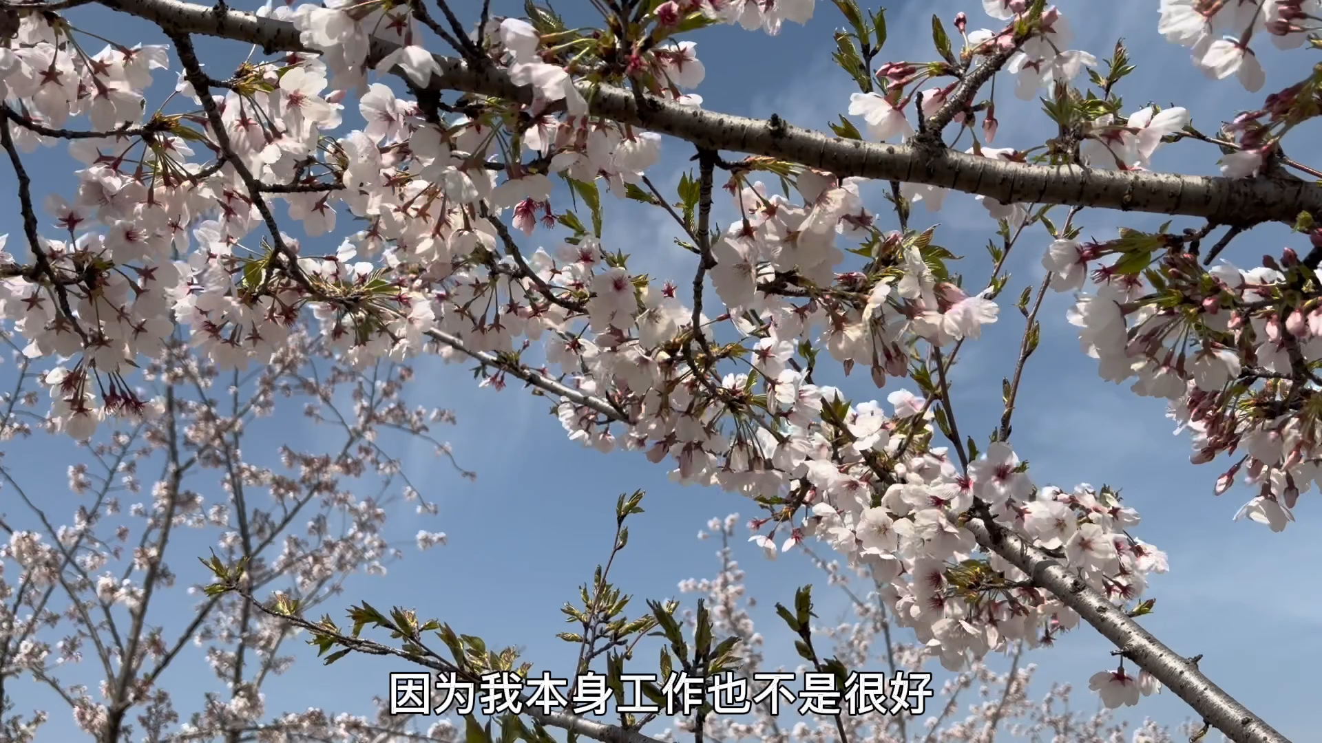 女性结婚生子以后人生就真的完了？