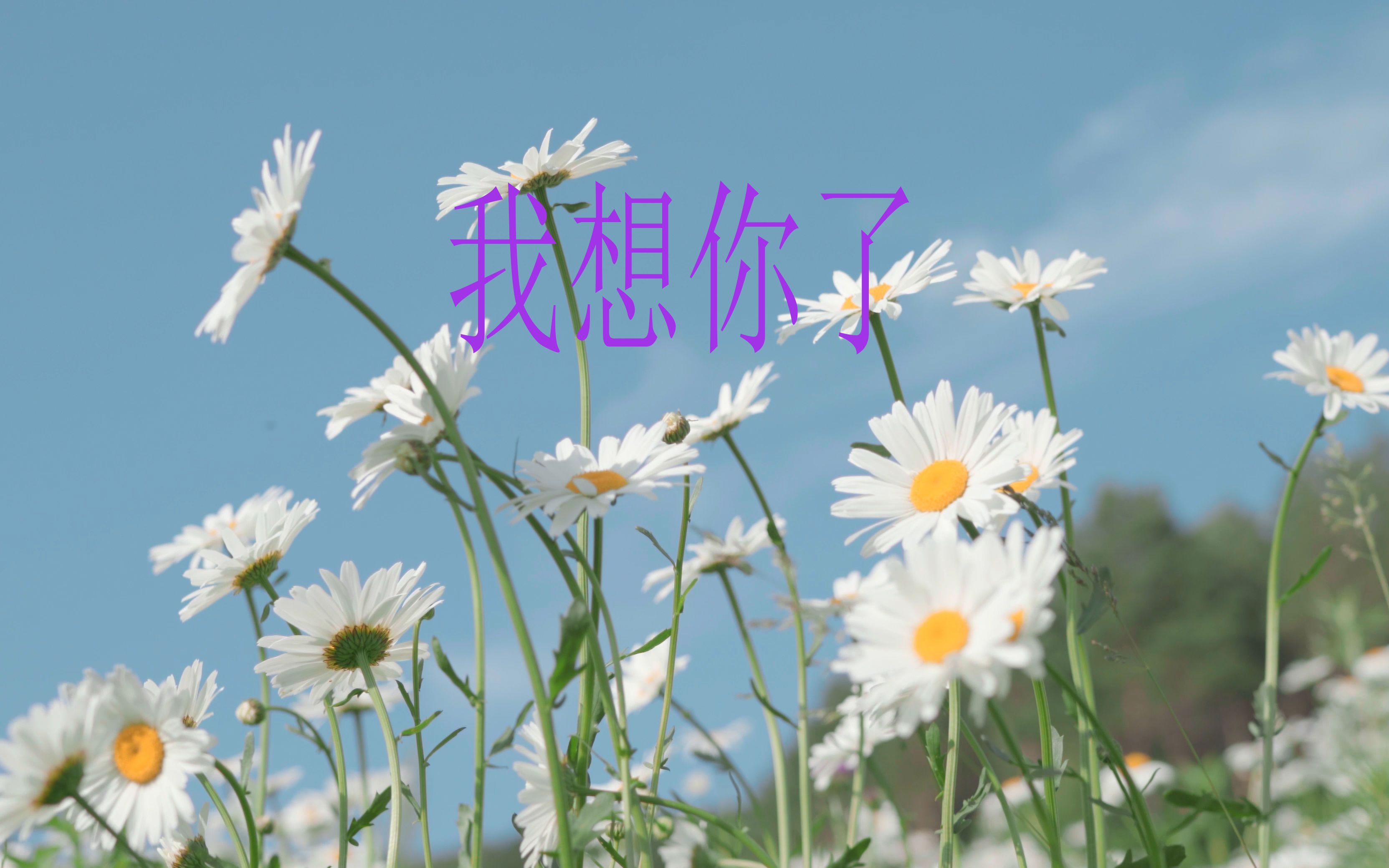 其实我很想你,你也在想我吗?_哔哩哔哩_bilibili