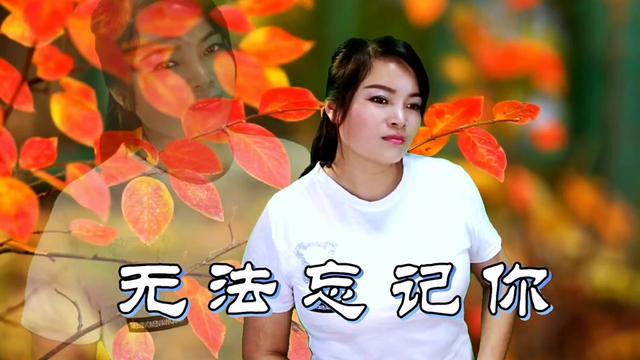 扬美华催泪情歌《无法忘记你》句句伤感深情,听完放声痛哭