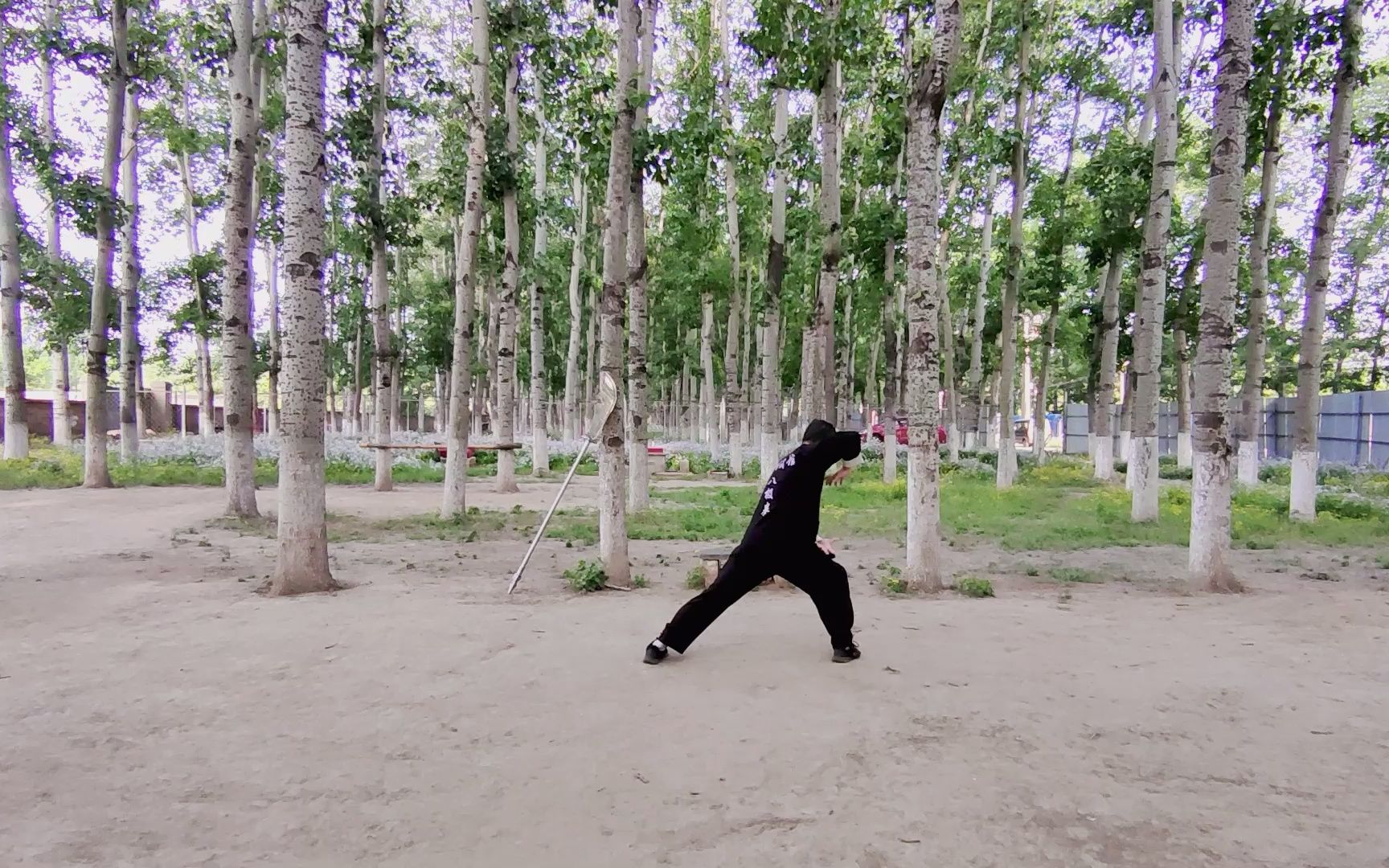 八极拳六大开之挎动作七马步双撑收势