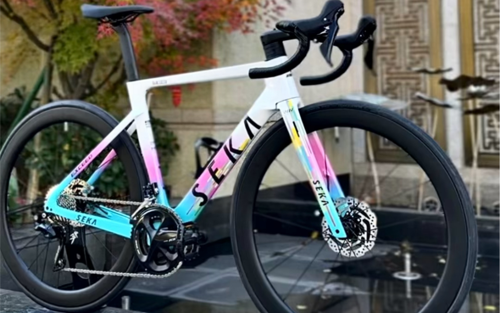 2万预算的seka公路车.幻彩rdc