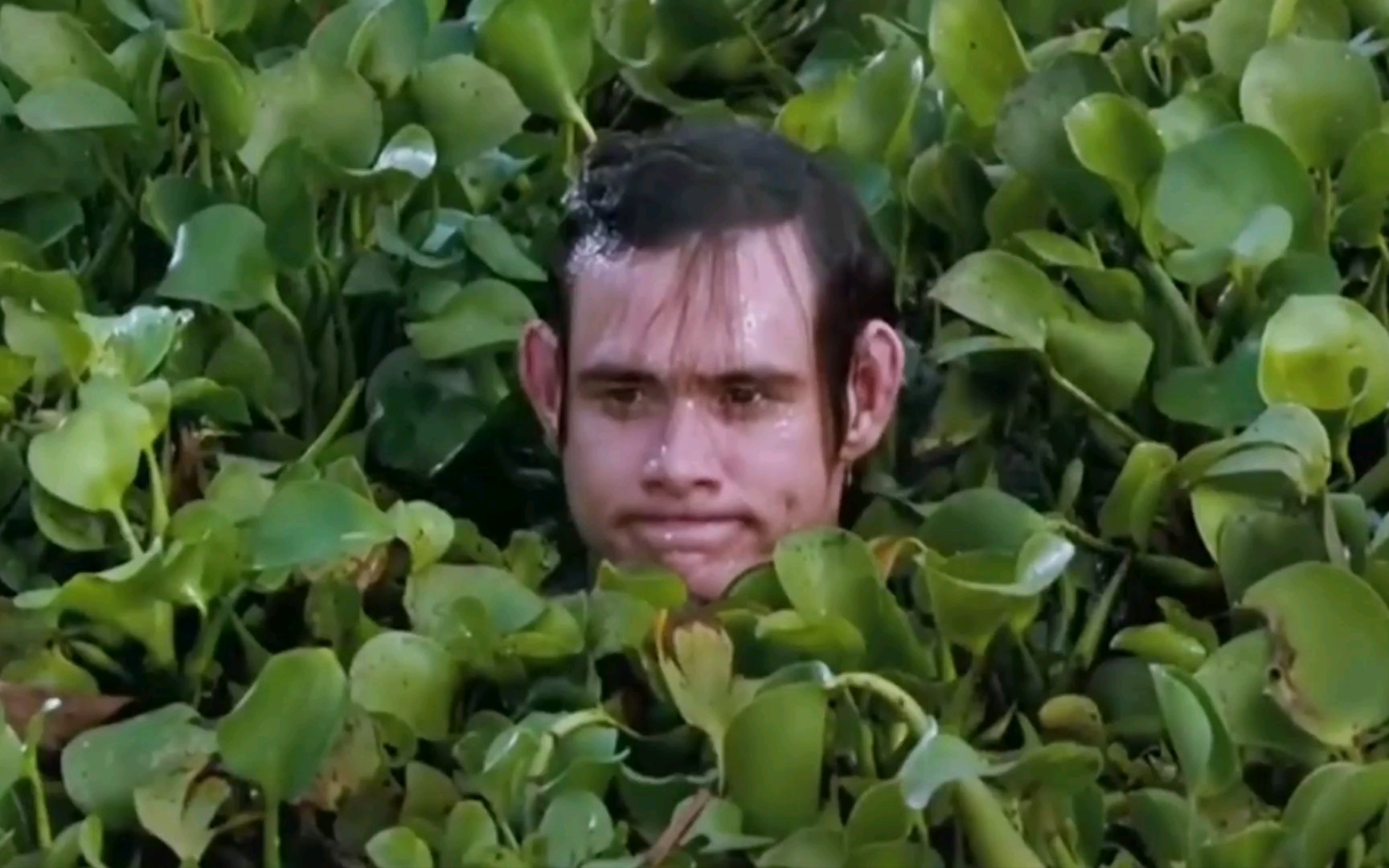 外国搞笑喜剧大师金凯瑞.