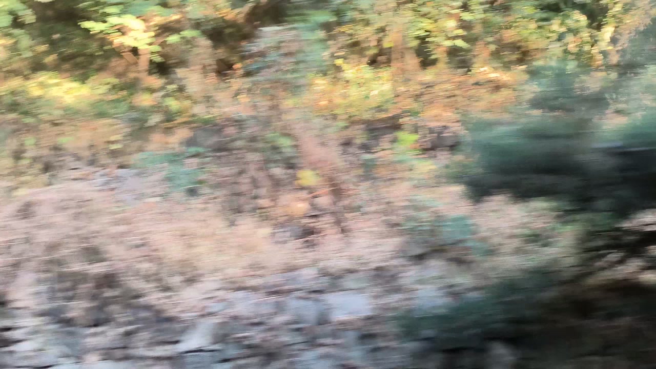 2026.10.01泰山大巴下山。
