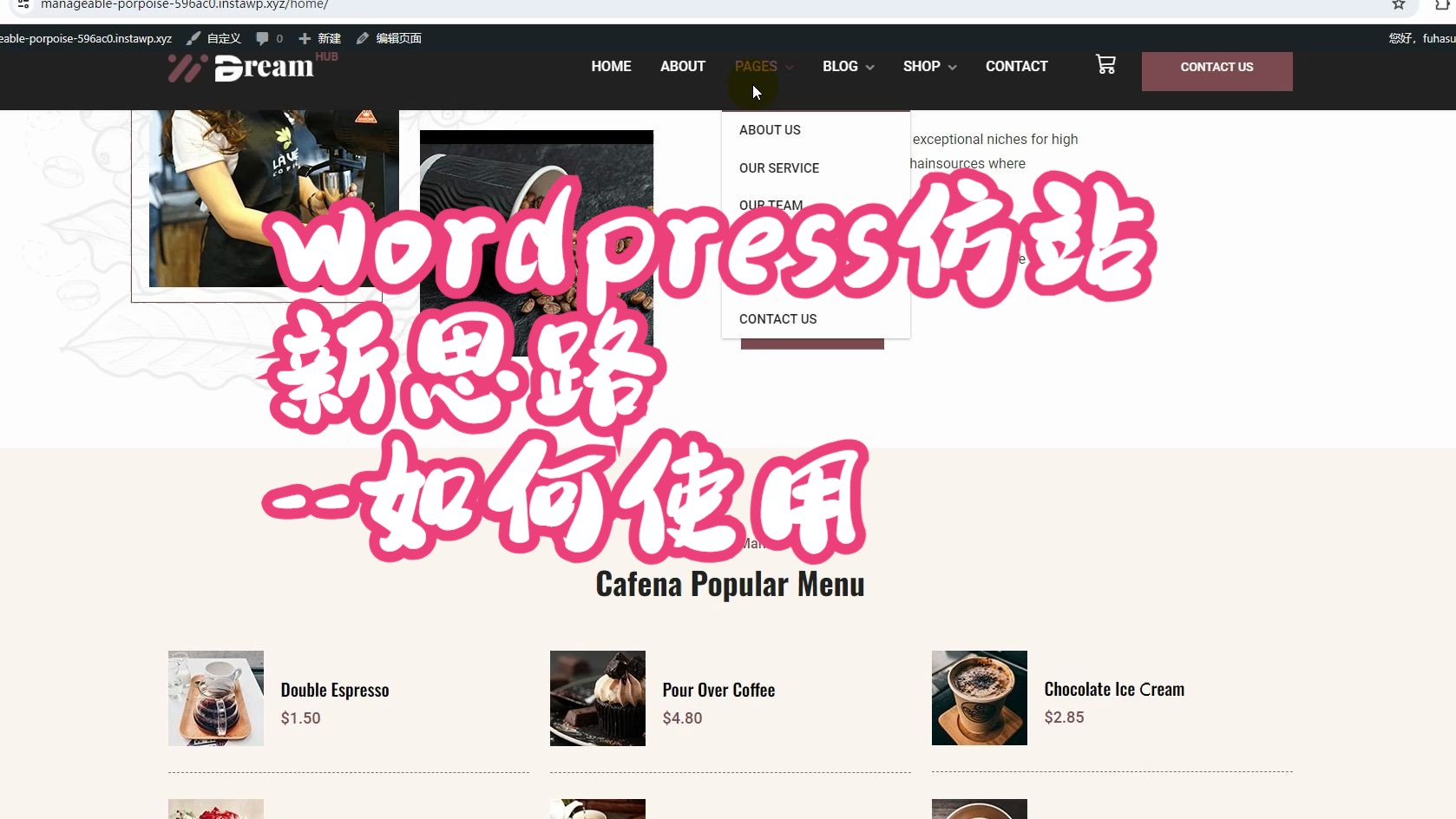 wordpress仿站新思路如何使用哔哩哔哩bilibili