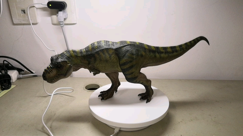 本心楠改永恒之王(拥有一口鲨齿龙牙齿的霸王龙)