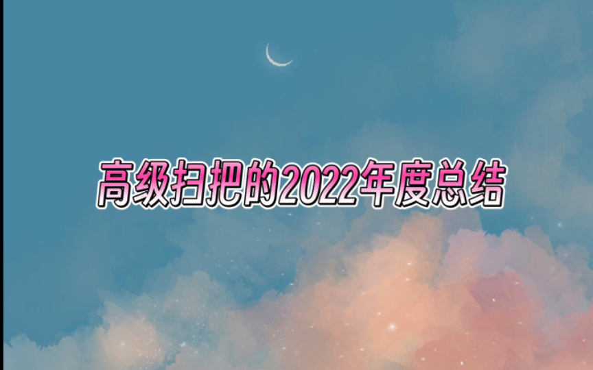 高级扫把平平无奇2022年的流水账总结哔哩哔哩bilibili