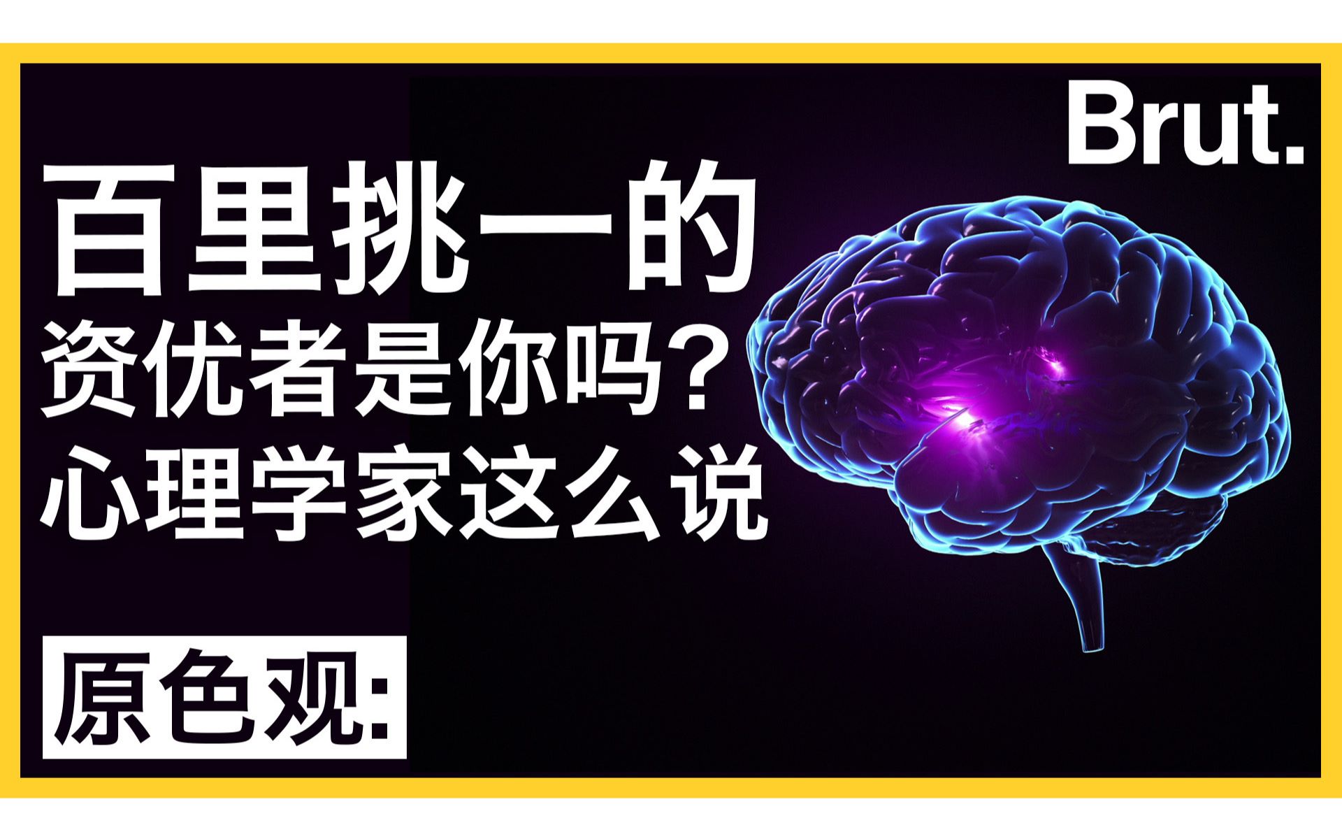 百里挑一的资优者会是你吗?法国心理学家们这么说哔哩哔哩bilibili