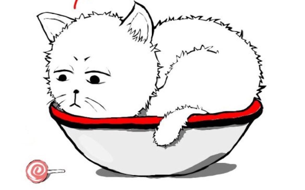 10生日】第二发让卷毛猫来吧