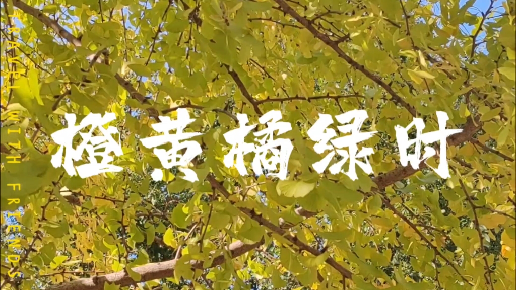 一年好景君须记,最是橙黄橘绿时.