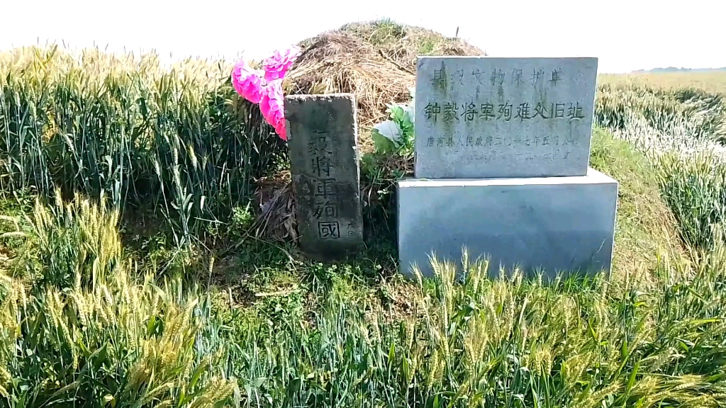 河南南阳唐河县苍台镇麦田旁是抗日英烈钟毅将军殉国处,勿忘历史