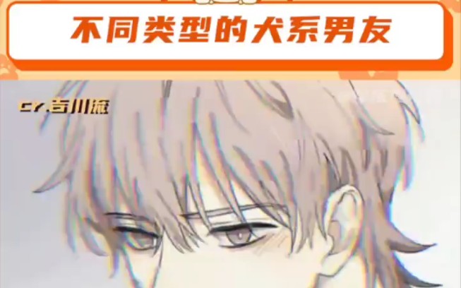 不同类型的犬系男友,我选四我选四!