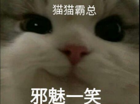 每日分享搞怪好玩的表情包哔哩哔哩bilibili