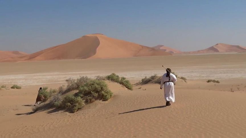 外国沙漠中到处都是野兔,猎人放几条猎犬围追堵截